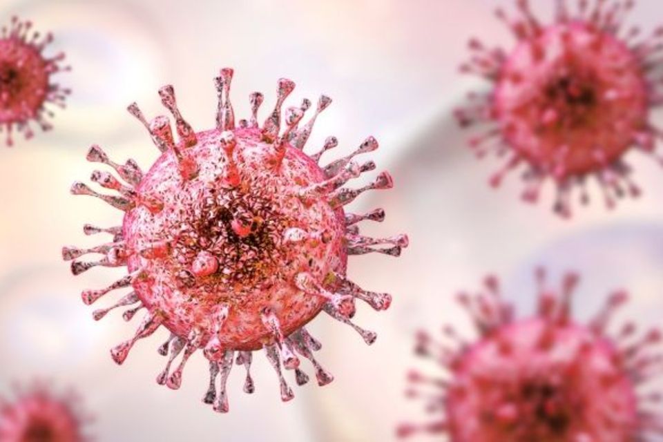 Zytomegalie-Virus
