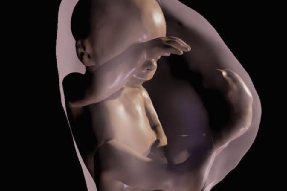 Virtuelles 3D-Modell eines Babys im Mutterleib